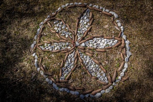 country style, minimalist, circle, pebbles, pinecone, design, geometric, decoration, meadow, decorative, country style, country style, country style, country style, country style, minimalist